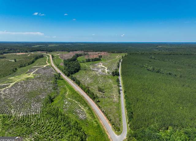 Property at V/L Highway 112, Toomsboro, GA 31090