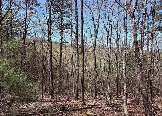 Property at LOT 751 Morton Dr Unit 751/752, Ellijay, GA 30540