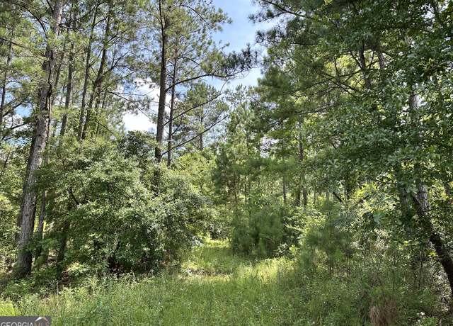 Property at 180 George Gray Rd, Danville, GA 31017