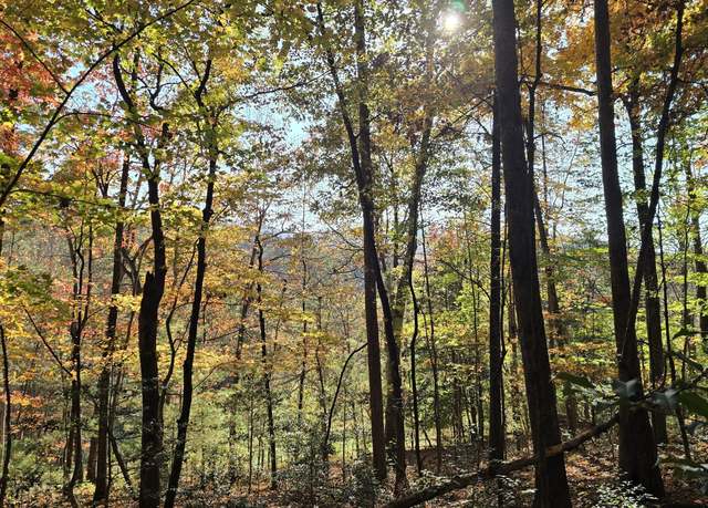 Property at 0 Highway 197 N, Clarkesville, GA 30523