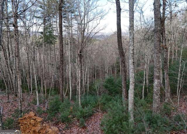 Property at LOT 46 Walker Ridge Way, Mineral Bluff, GA 30559