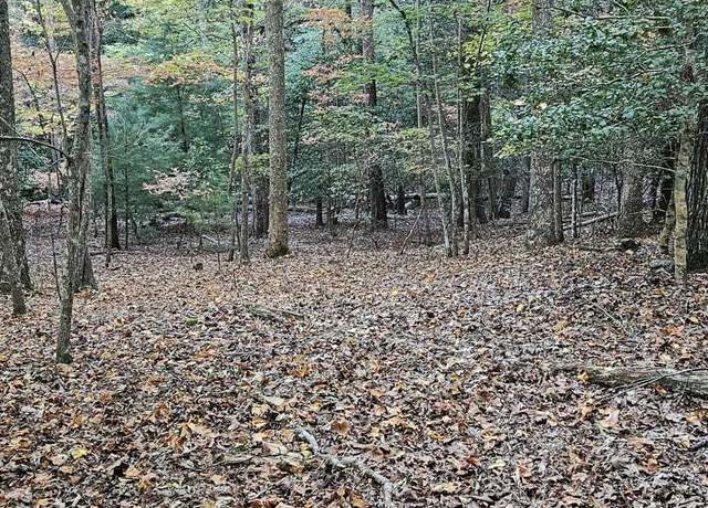 Property at 5 Goldmine Rd Lot 5, Morganton, GA 30560