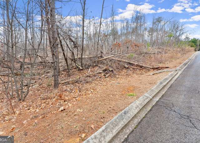 Property at 0 Yates Circle #461, Clarkesville, GA 30523