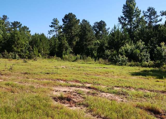 Property at 0 Moore Rd, Register, GA 30452