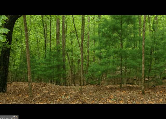 Property at LT 2551 Frigate Dr, Ellijay, GA 30540