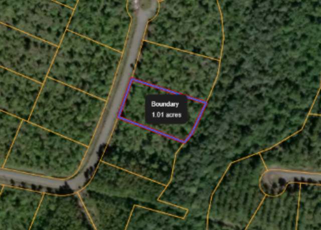 Property at 34 Fox Rdg, Waynesville, GA 31566