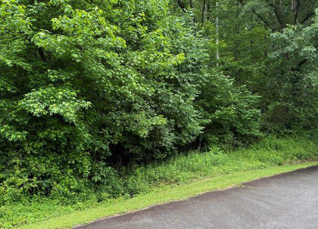 Property at 0 Meadow Crest Dr, Cleveland, GA 30528