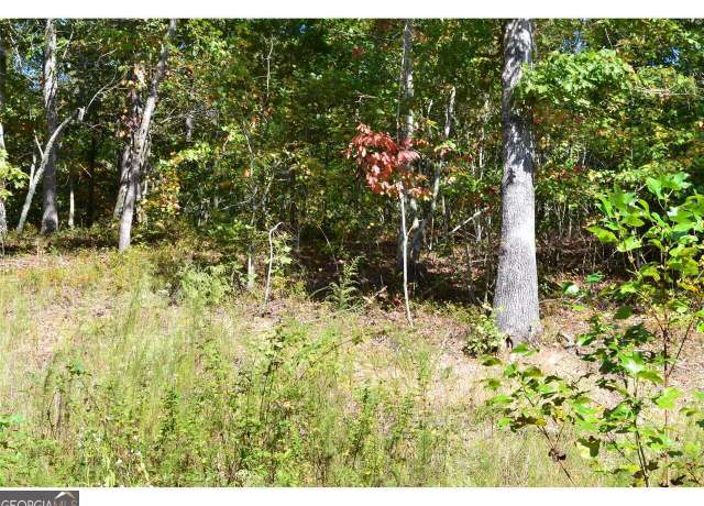 Property at 0 Hiawassee Ln, Cleveland, GA 30528