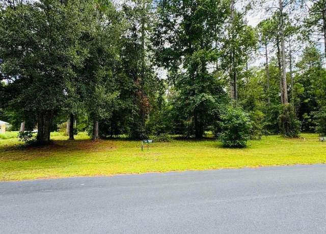 Property at LOT 557 NE Wood Stork Dr, Townsend, GA 31331