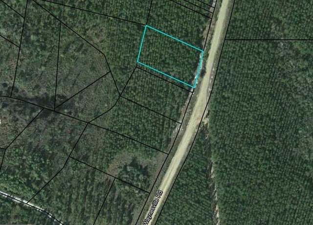Property at LOT 17 Old Waynesville Rd, Waynesville, GA 31566