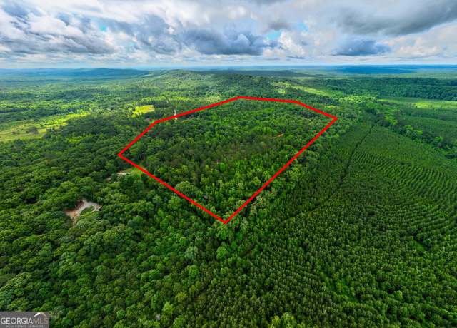 Property at 0 South Porter Rd, Shiloh, GA 31826