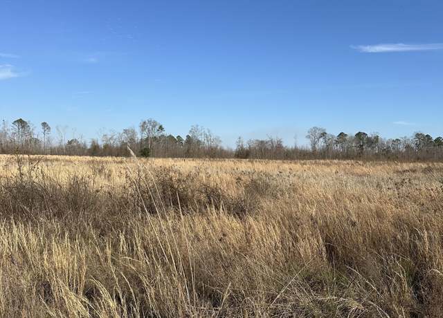 Property at 1031 Scott S Store (15 Acres) Rd, Millen, GA 30442