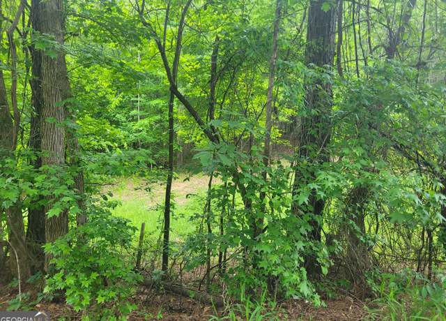 Property at 0 Fincherville Rd Unit TRACT 1, Jackson, GA 30233