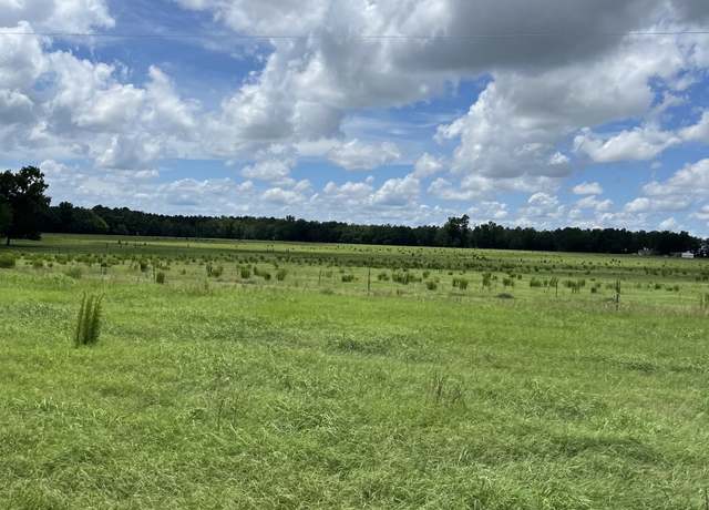 Property at 269 Pea Ridge Rd, Montrose, GA 31065