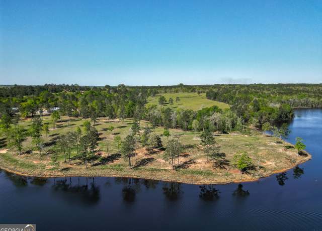 Property at 1009 Walter Wells Rd, Buena Vista, GA 31803