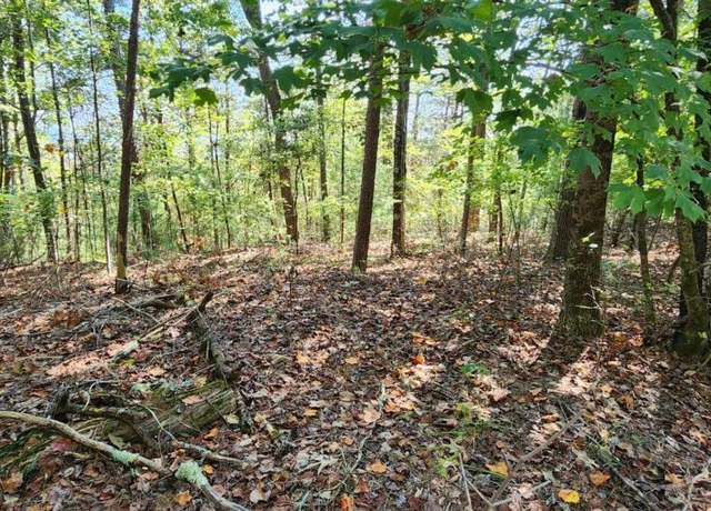 Property at LOT 1699 Shade Tree Dr, Talking Rock, GA 30175