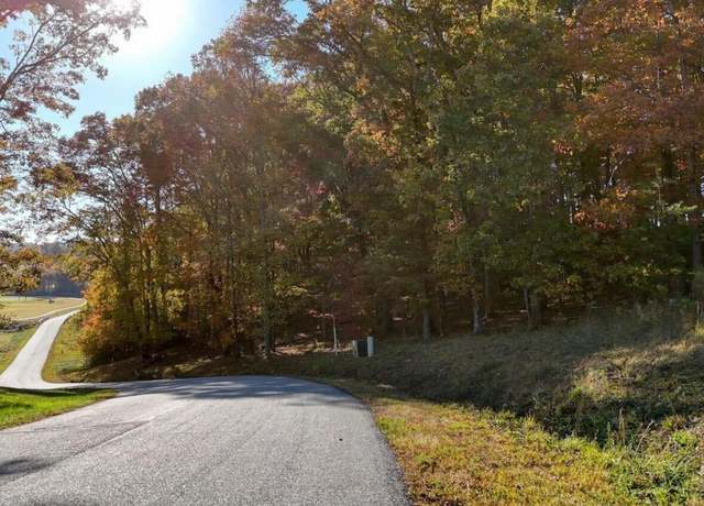 Property at LOT 161 Old Owen Dr #161, Blairsville, GA 30512