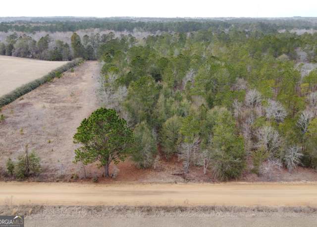Property at 0 Ben Grady Collins Rd, Statesboro, GA 30458