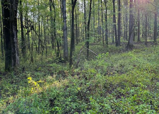 Property at 1433 Cleveland Farm Rd, Locust Grove, GA 30248