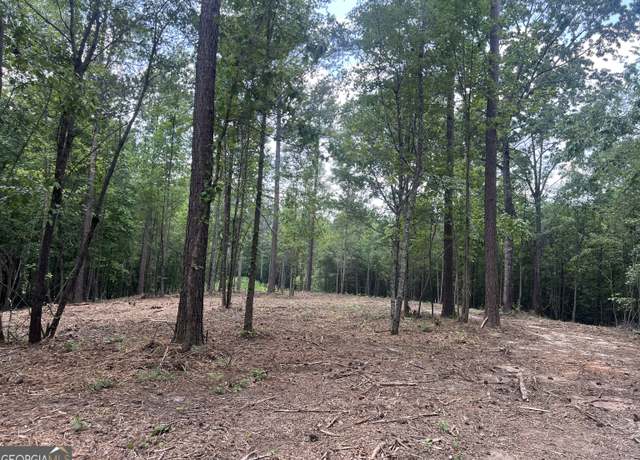 Property at LOT 3 Gum Creek Airport Rd #3, Roopville, GA 30170