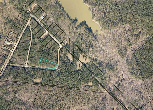 Property at 29 Eagle Pointe, Lincolnton, GA 30817