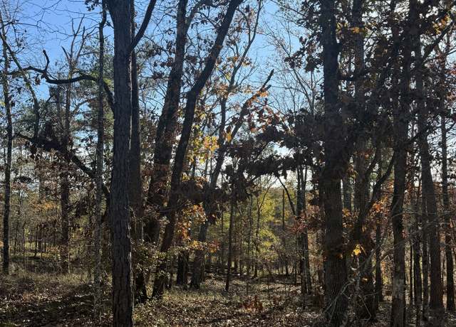 Property at LOT 216 Anthemis, Sparta, GA 31087