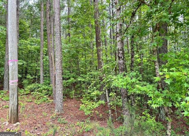 Property at 131 Ext Johnson Rd, Locust Grove, GA 30248