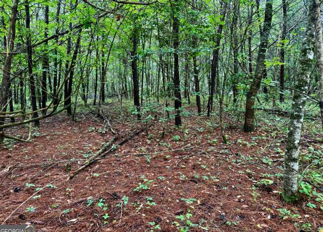 Property at 12 Brookhaven, Young Harris, GA 30582