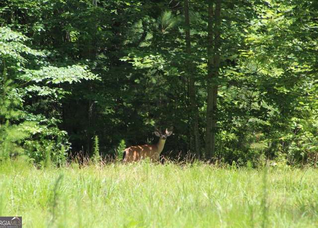 Property at 0 Jumper Dr, Ellijay, GA 30540