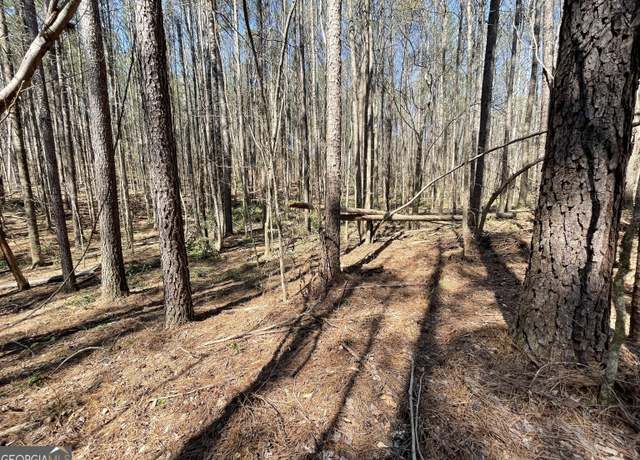 Property at 0 Joe Cook Rd #2, Franklin, GA 30217