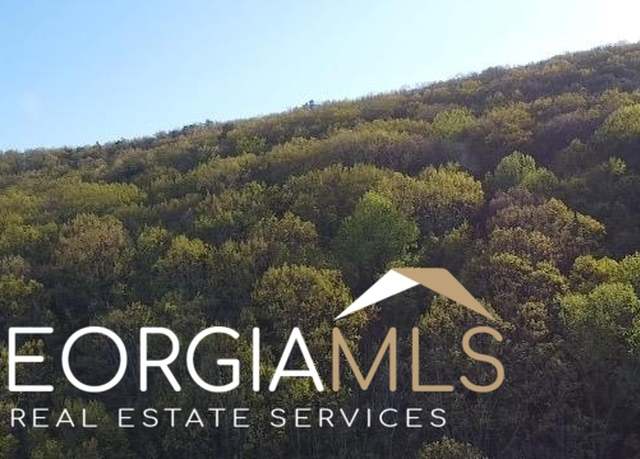 Property at 172 Trailwood Dr, Ellijay, GA 30540