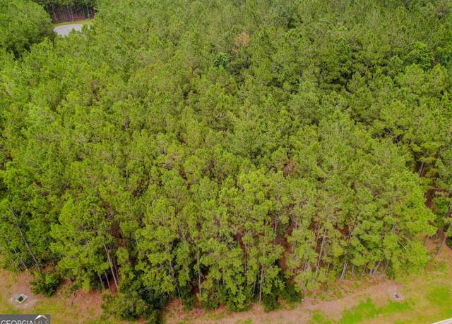 Property at LOT 35 Sea Turtle Ln, Waverly, GA 31565