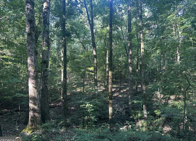Property at 0 Highway 72 E, Carlton, GA 30627