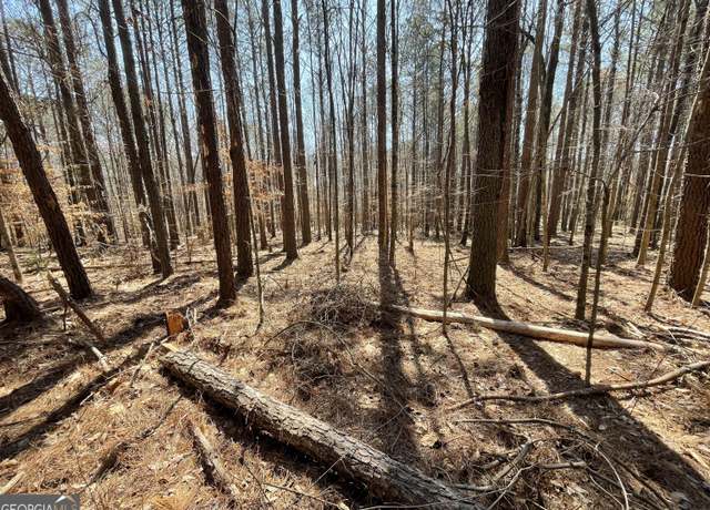 Property at 0 Joe Cook Rd #4, Franklin, GA 30217