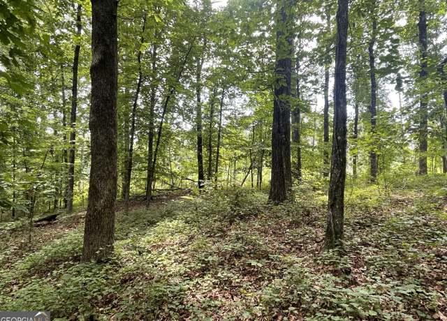 Property at 0 Dowdy Rd, Roopville, GA 30170