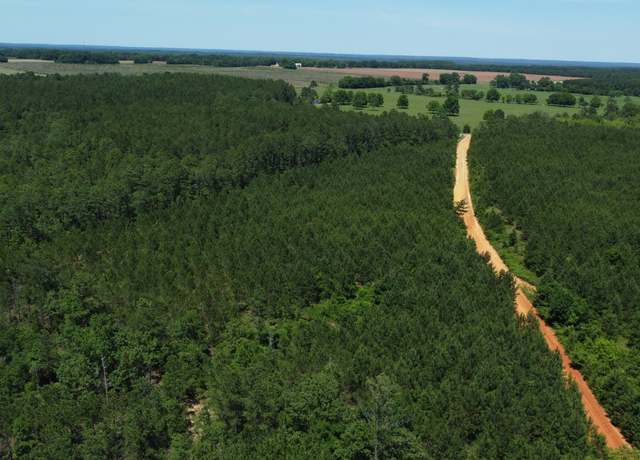Property at 0 Brannon Montgomery Rd, Mauk, GA 31058