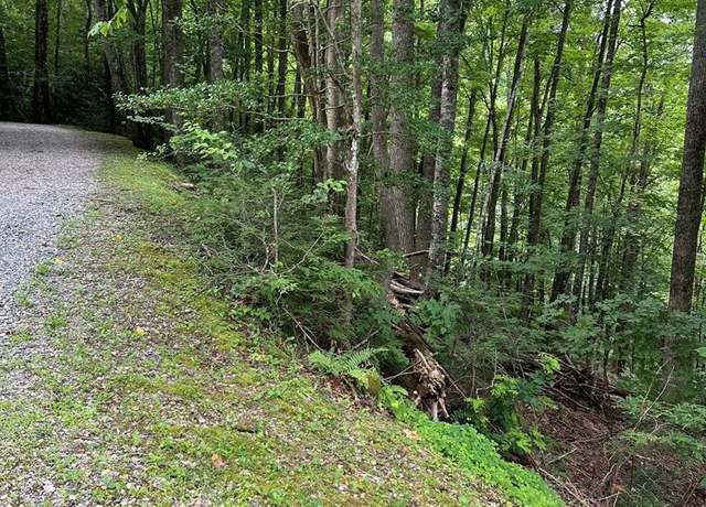 Property at LOT 3 SEC 3 Rhododendron Dr, Topton, NC 28781
