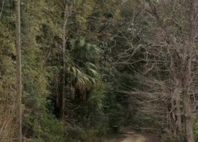 Property at 467 745 Lot North St, Bainbridge, GA 39817