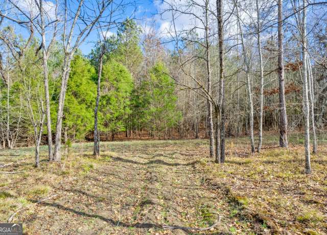 Property at 0 Millstone Church Rd, Carlton, GA 30627