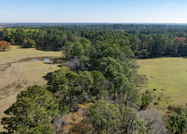 Property at 0 Lost Rd, Arabi, GA 31712