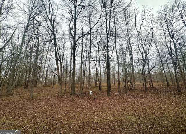 Property at LOT 65 Parks Ferry Dr, Greensboro, GA 30642