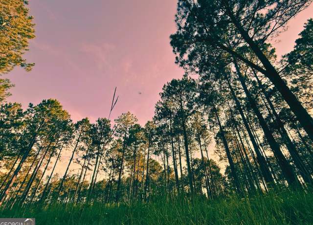Property at 1172 Indigo Rd, Metter, GA 30439
