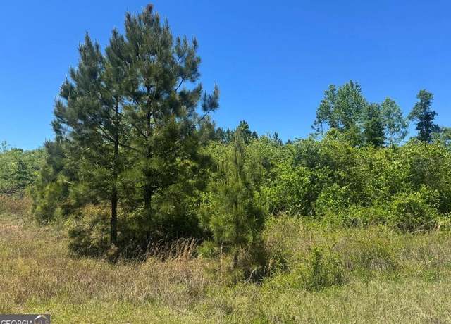 Property at 0 Grant Rowe Rd, Dublin, GA 31021