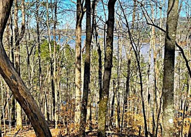Property at 0 Carters Overlook Dr, Chatsworth, GA 30705