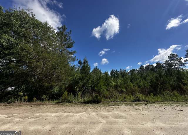 Property at 0 Hacklebarney Ln, Blackshear, GA 31516
