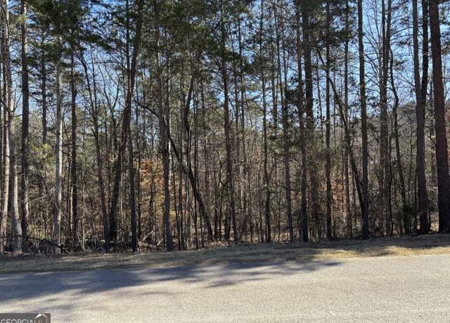 Property at 0 Skyline Way, Lavonia, GA 30553