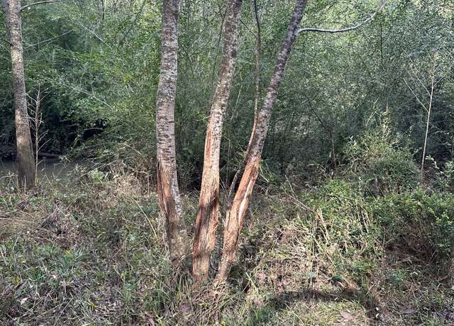 Property at 0 Seven Islands Rd, Madison, GA 30650