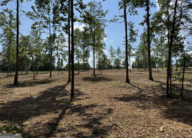 Property at LOT 3 Happy Hollow Rd, Roopville, GA 30170