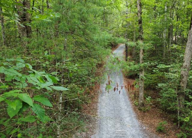 Property at 0 Hwy 60, Mineral Bluff, GA 30559