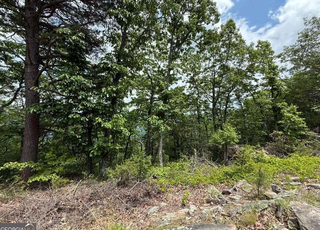 Property at 157 Hwy, Menlo, GA 30731